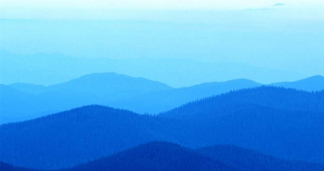 востановится после операции