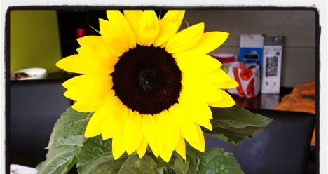 чтобы я помирилась с зятем