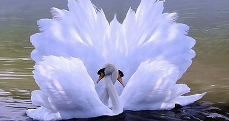 Хорошее здоровье