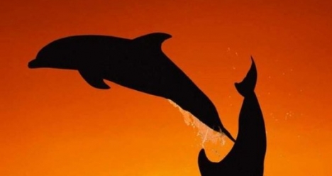 трансформация