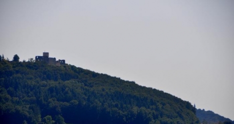 Да заминем да живеем в Германия до края на август 2014 г.