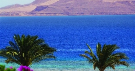 Встретить взаимную любовь и выйти замуж.