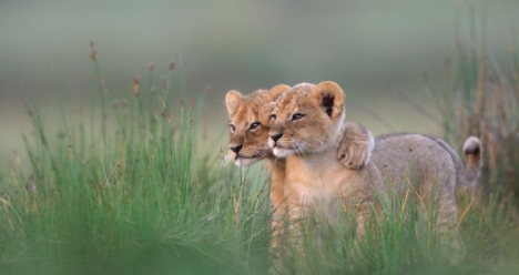 интересная и прибыльная работа