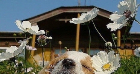 Получить необходимую сумму денег