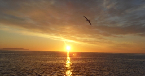 Любви и нежности Всему человечеству!