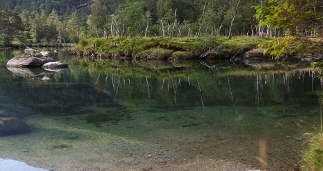 Я,София,хочу 15.000 евро 25 августа 2014 года.