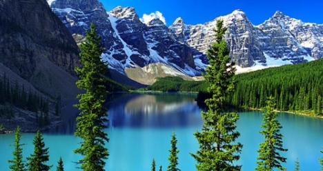 Хочу что бы решились все проблемы с налоговой