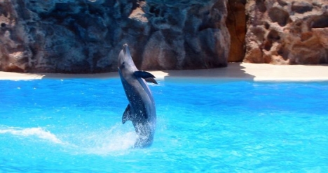 Выйти замуж за В.Л. и быть любимой и счастливой в этом браке