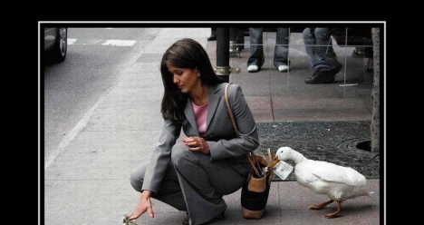 Высокооплачиваемая работа