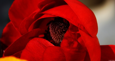 Хочу огромную количество денег