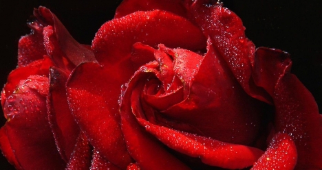 чтоб муж любил и никогда не изменял