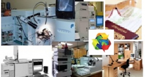 чудесна кариера