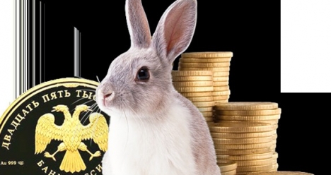 Работа со стабильным высоким окладом ...500 000 руб