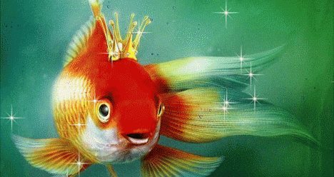 удачно выйти замуж