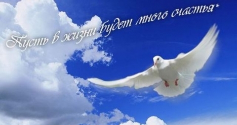 я хочу верного, оптимистичного, надёжного друга !