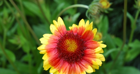 распрощаться с долгом