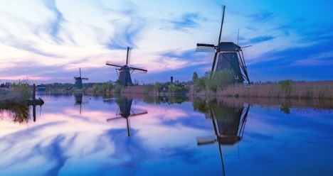 Счастье, дружба и благополучие