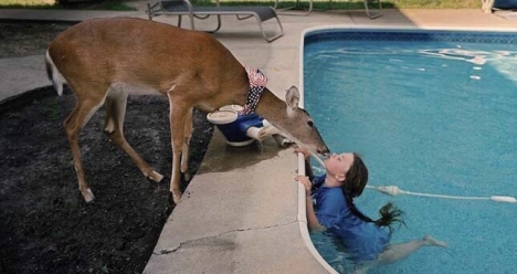 Высокооплачиваемая работа с животными