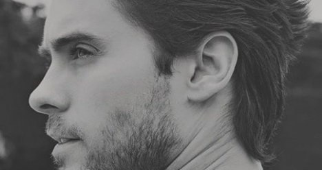 Моя вторая половинка (Д.Л.)