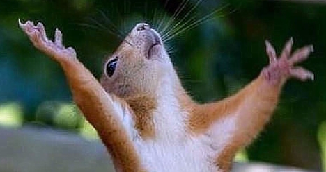 на быстрого получения вызова для папы.