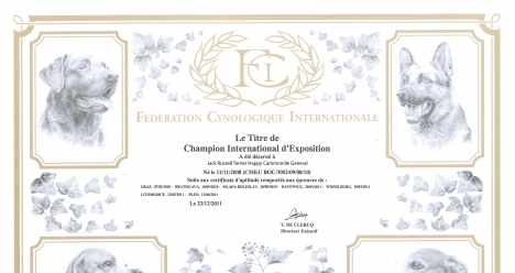 Эндюша интер в т.г.