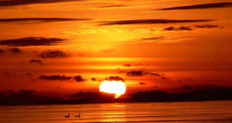 Успех, Удача, Везение, Стабильность)))