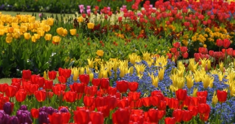 большие неожиданные деньги для счастья