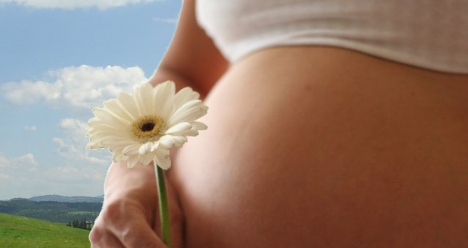 беременность