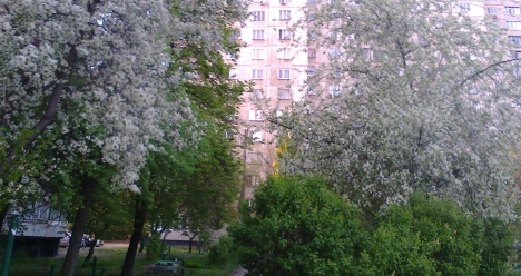 Война в Украине закончилась на веки вечные