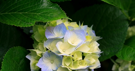 Моя вторая половинка