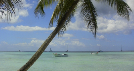 Да пътувам накъдето пожелая