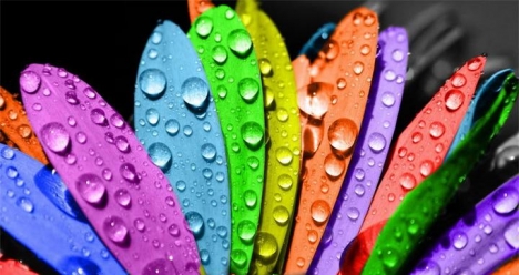 Мирная ,счастливая жизнь