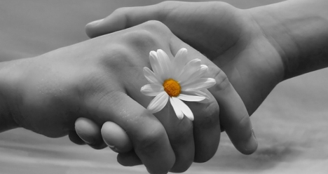 Вернуть любовь ко мне Саши Стюфляевой