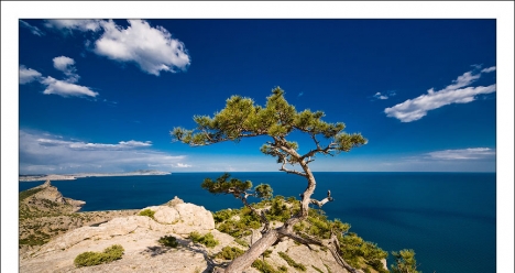 интересная доходная работа