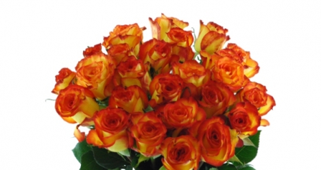 Огромный букет роз от Димы