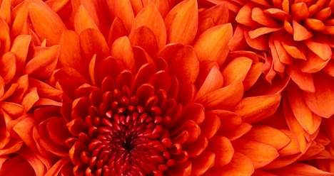 здоровье ,богатство-машина