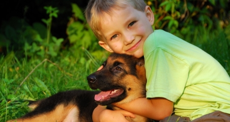 Продала щенка