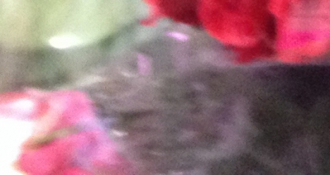 Я выграю миллион гривень