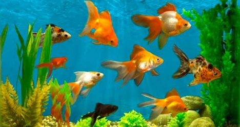 Моя новая,интересная для меня работа в ночь.