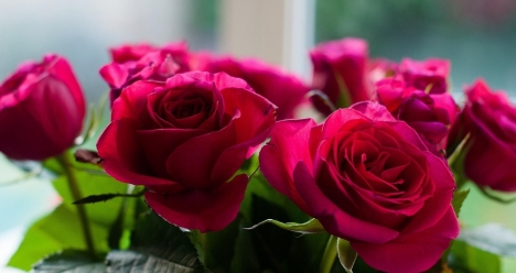 Стас мойнавегда