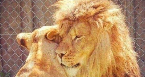 Мой любимый и любящий меня мужчина.