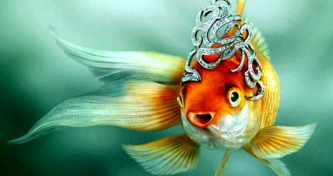 Родить здоровую дочку