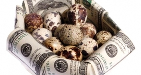 МОЯ ПЕРЕПЕЛИННАЯ ФЕРМА