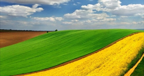 Работа, деньги, радость, через месяц