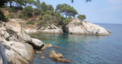 получить испанскую резиденцию в феврале 2017 года