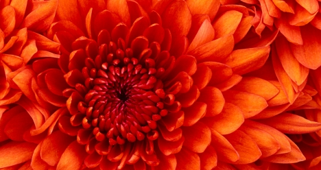 Высокооплачиваемая работа