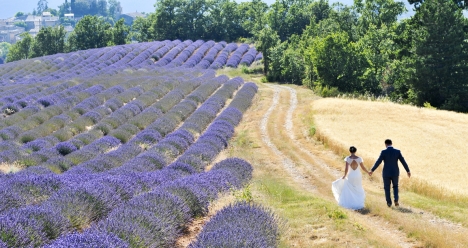 Моя вторая половинка