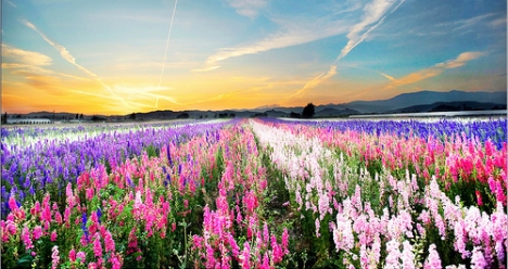 У меня хороший муж