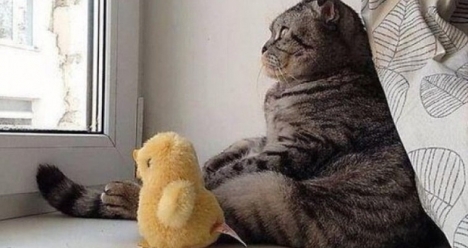 Бесплатное участие в мастер-группе 2017 у Ярослава Брина! А