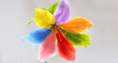 Цветик Семицветик